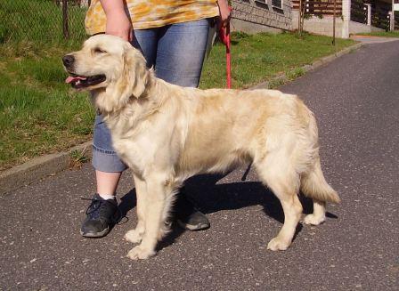 Bella - postoj